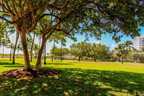 Welworth condo units Miami Beach image 15